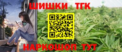 первитин Камышлов