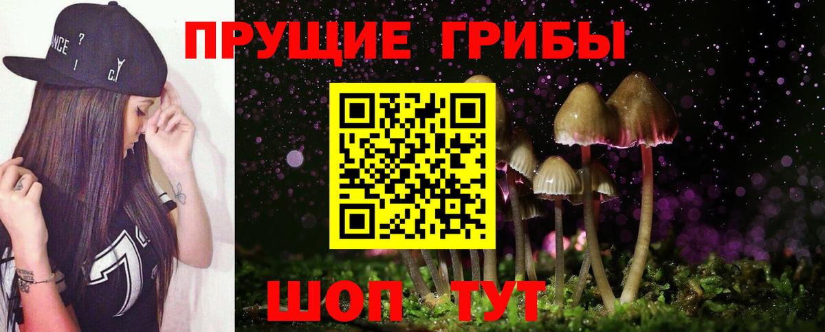 Галлюциногенные грибы Cubensis Красный Сулин